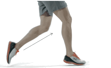 NBA赌注平台:跑步的肌群有哪些如何练习跑步相关的肌肉真的有必要吗